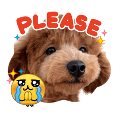 mao_20260526100002