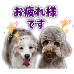 Mao_20260526093041