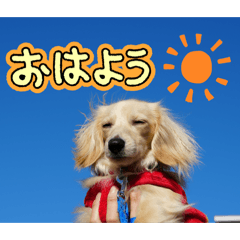 MAYU_20260526094104