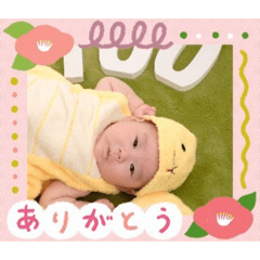 kana_20260526100800