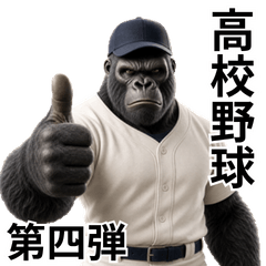Gorilla High School Baseball 4