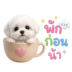 หมาน้อยตุ้ยนุ้ย กวนขั้นสุด 6