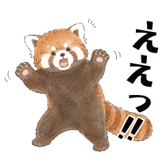 Red panda baby of Watercolor