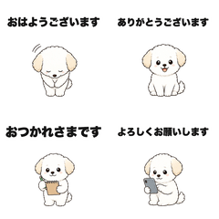Gentle Polite White Dog
