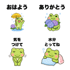 Cute Frog Rainy Summer Phrases