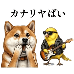 毎日使えるダジャレ柴犬