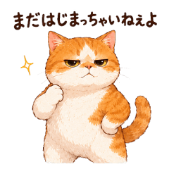 Surly Cat: Every Day's a Battle