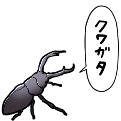 talking small stag beetle