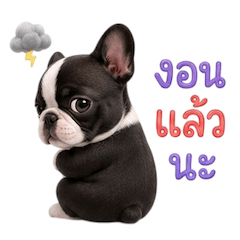 หมาน้อยตุ้ยนุ้ย กวนขั้นสุด 9