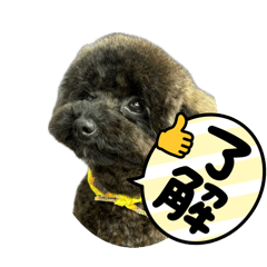 qoo_20260526114721