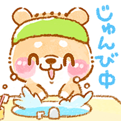 puppy shibainu koshibachan 5