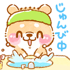 puppy shibainu koshibachan 5