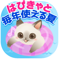 Animated! Happy Cat Summer Sticker!