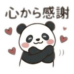 sachiko_20260526121902