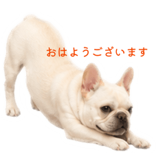 mugi_20260526134159