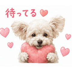 misa_20260526143715