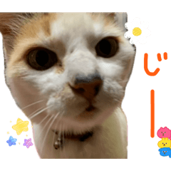 Rui_20260526152424