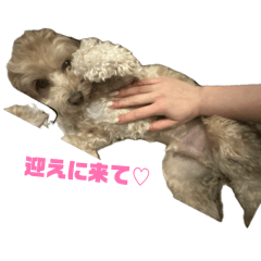 hana_20260526154836