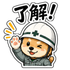 Safety Helmet Dogs & Cats