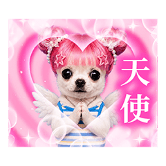੯‧̀͡⬮《吉娃娃》Y2K粉紅拍貼（文字版）