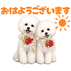 piropiro_20260525212332