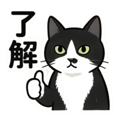 Korewa Neko desuka?