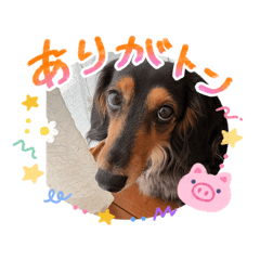 @@moka