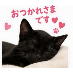 Chocolate_20260526172937