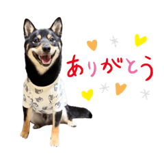 kurosuke_20260526172002