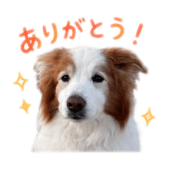 MIHO_20260526174043