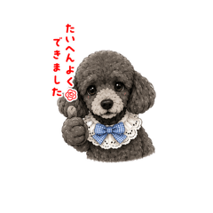 MANAMI_20260526183031