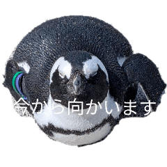 dai_20260526202226