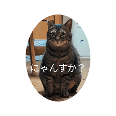 kigendan_20260526201856