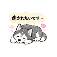 yu_20260526202355