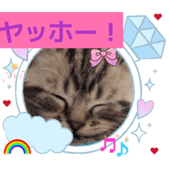 mikamin_20260526205955