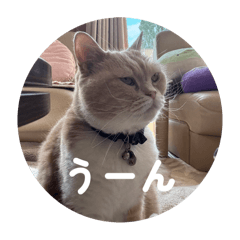 yu_20260526182043