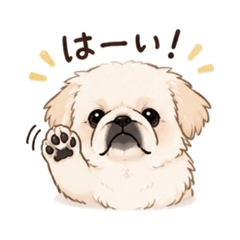 hana_20260526213758