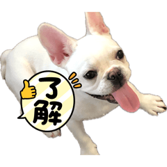 maru_20260526192550