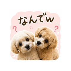 TANAKA_20260526192801