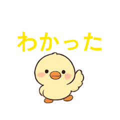 Ktokto_20260526193606