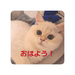 jun_20260526225258