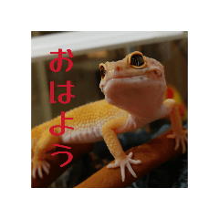 Emo0127
