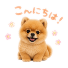 chiemii_20260526224404