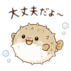 sakana_20260526232646