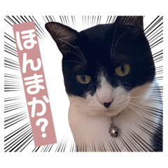 Yuka_20260526225315