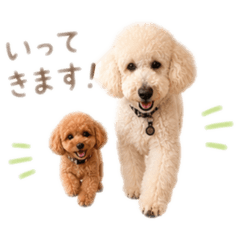 mugmug_20260526233939