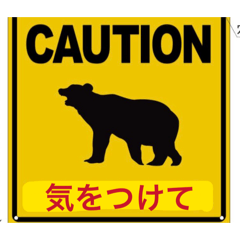 LEO_20260523180125