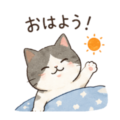 Convey your feelings.Everyday cat 2