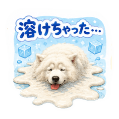 chopitanSTAMPi_20260526171933