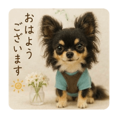 marumaru_20260526192302